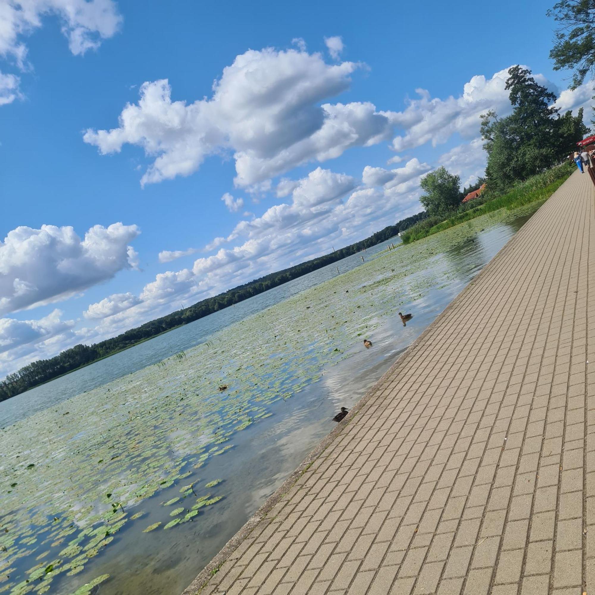 Apartament Villa Klar Ostroda Bagian luar foto